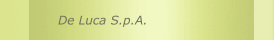 De Luca S.p.A.